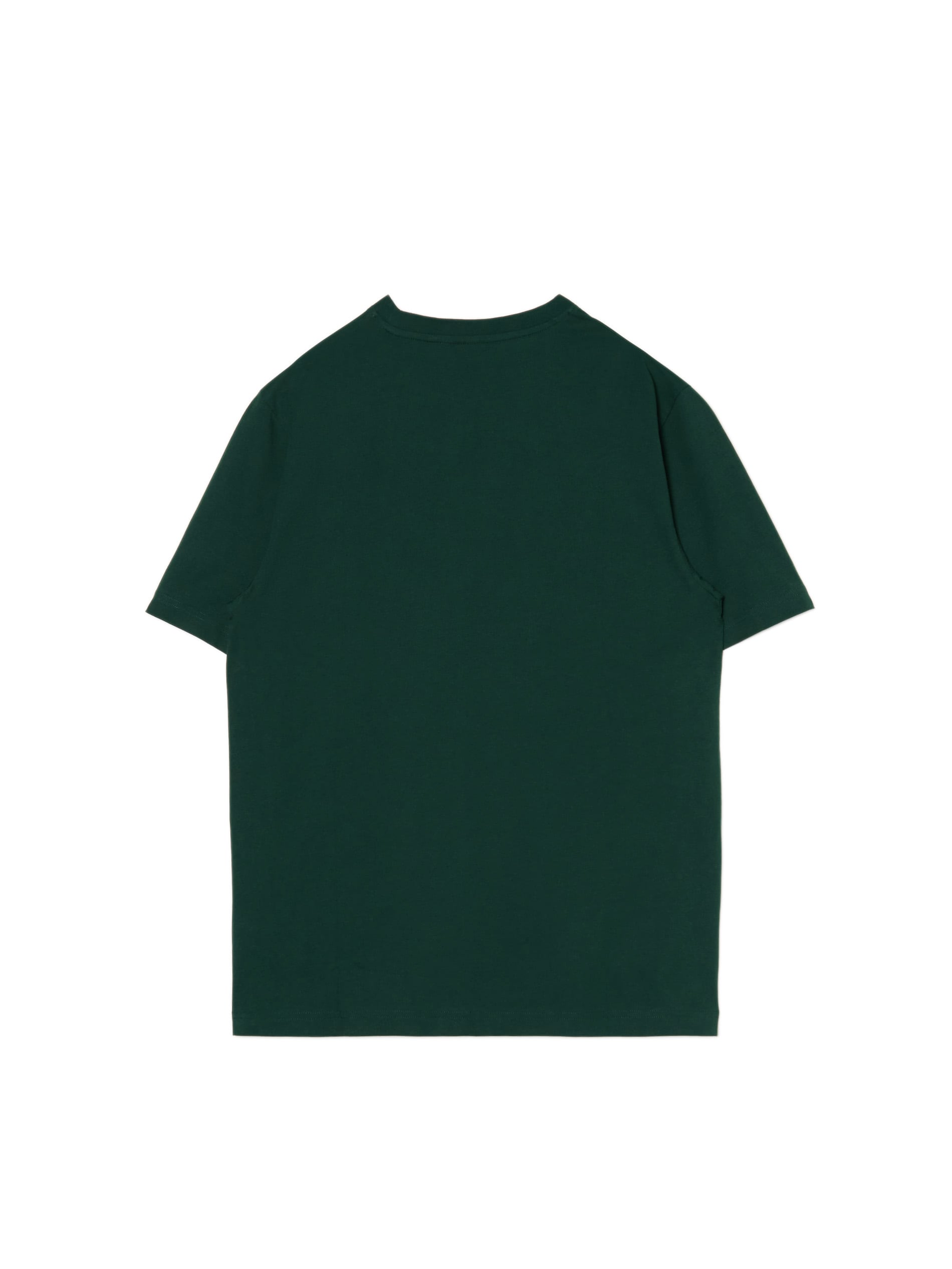 Cropp - T-shirt Con Ricamo - Verde Scuro