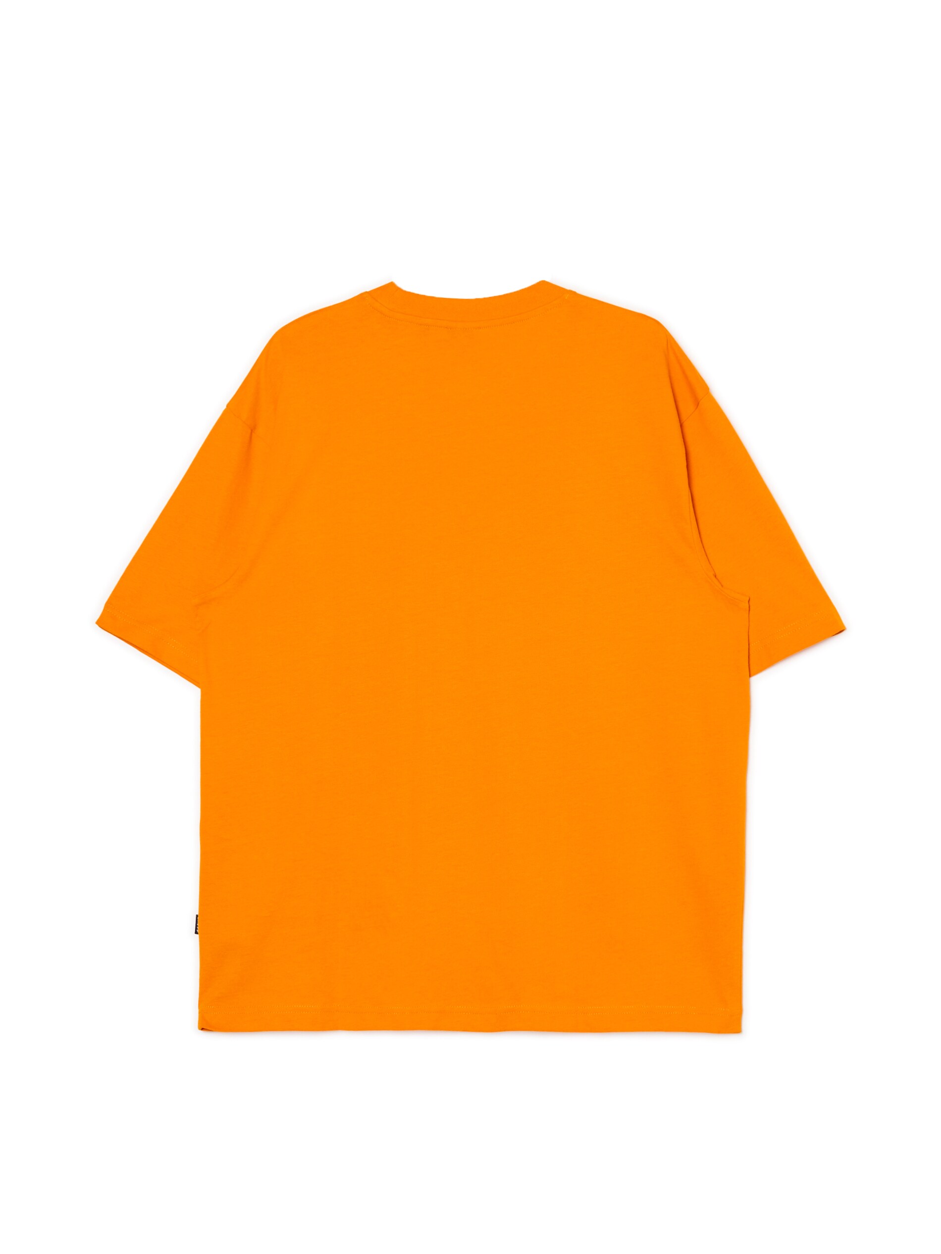 Cropp - T-Shirt Mit Stickerei - Orange