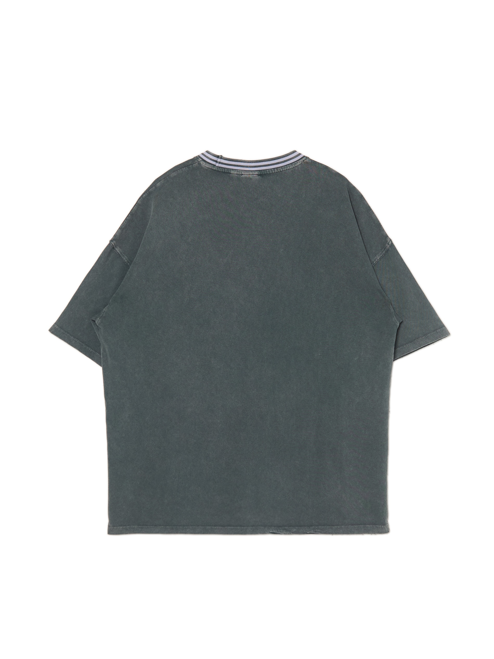 Cropp - T-shirt Con Ricamo - Grigio Medio