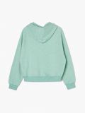 Sudadera oversize verde con capucha - verde claro - CROPP - small6