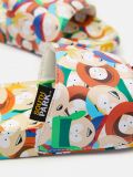 South Park papucs a teljes felületén mintával - többszínű - CROPP - small3