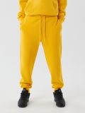 Żółte dresowe joggery regular - żółty - CROPP - small2