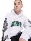 Pulóver Slytherin - fehér - CROPP - small2