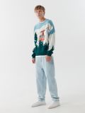 Sweter z motywem zimowym - niebieski - CROPP - small2