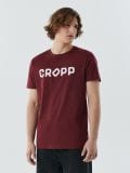 Bordowy T-shirt z nadrukiem CROPP - kasztanowy - CROPP - small1