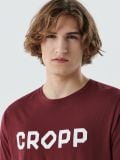 Bordowy T-shirt z nadrukiem CROPP - kasztanowy - CROPP - small2