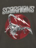 Tricou cu imprimeu Scorpions - gri-închis - CROPP - small2
