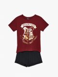 Dwuczęściowa piżama Harry Potter - kasztanowy - CROPP - small3