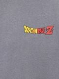 Koszulka oversize Dragon Ball - jasny szary - CROPP - small7
