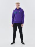 Bluza z kapturem Harry Potter - fioletowy - CROPP - small3