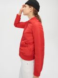 Bomberjacke - Rot - CROPP - small4