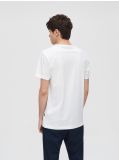 Tricou cu imprimeu cu șarpe și trandafiri - alb - CROPP - small3