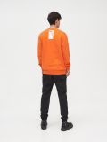 Bluza basic z nadrukiem - pomarańczowy - CROPP - small6