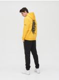 Bluza z nadrukiem na plecach - żółty - CROPP - small2