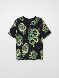 Koszulka Dragon Ball - czarny - CROPP - small4