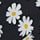 Vestito a pois - Nero