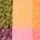 Fular colorat cu franjuri - multicolor