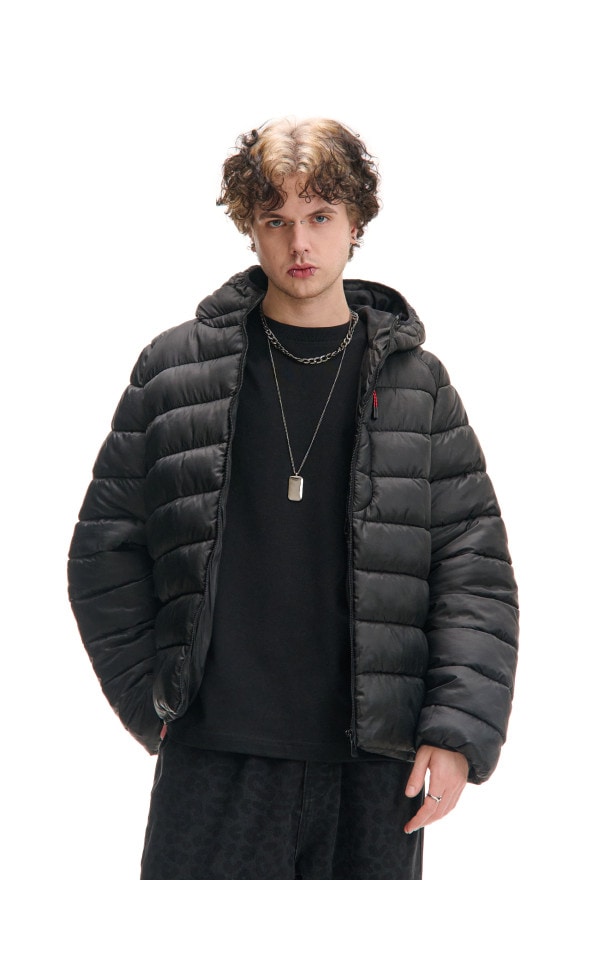 しゅう 151DE-99X-001-1-945000.jpg