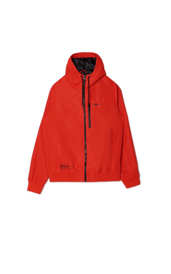 れん  6c5fd16c-98fd-4cd5-a5e9-